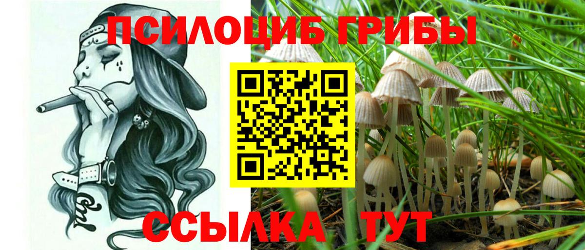 Галлюциногенные грибы GOLDEN TEACHER  Галлюциногенные грибы MAGIC MUSHROOMS  Кунгур  как найти закладки  Вход с VPN 